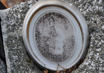 Lom u Mostu, Omnium, 2018