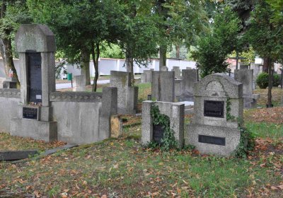 Lom u Mostu, Omnium, 2018