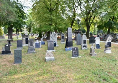 Lom u Mostu, Omnium, 2018