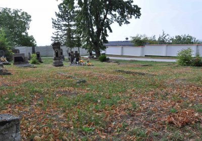 Lom u Mostu, Omnium, 2018