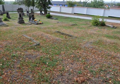 Lom u Mostu, Omnium, 2018