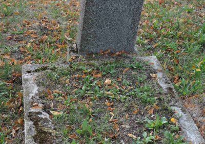 Lom u Mostu, Omnium, 2018