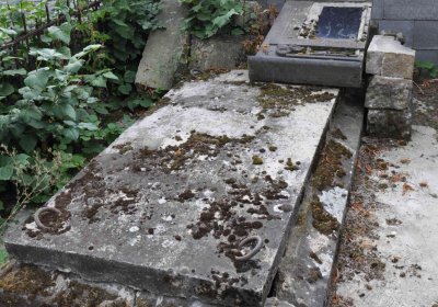 Lom u Mostu, Omnium, 2018