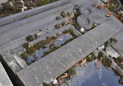 Lom u Mostu, Omnium, 2018