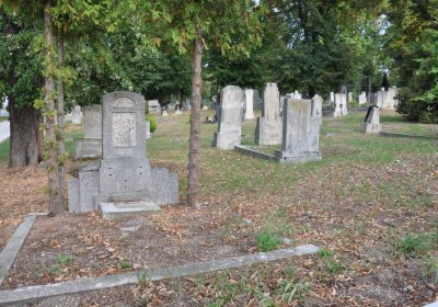 Lom u Mostu, Omnium, 2018