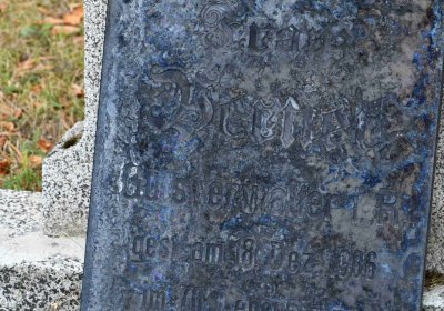 Lom u Mostu, Omnium, 2018