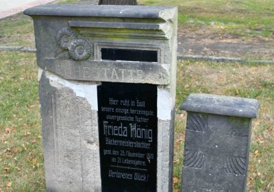 Lom u Mostu, Omnium, 2018