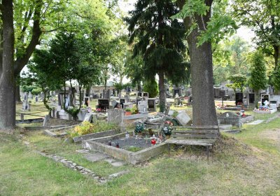 Lom u Mostu, Omnium, 2018