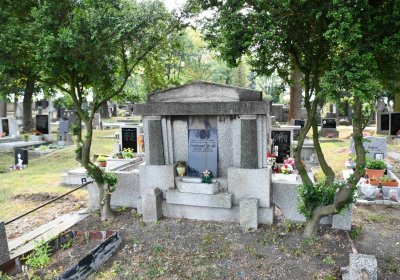 Lom u Mostu, Omnium, 2018