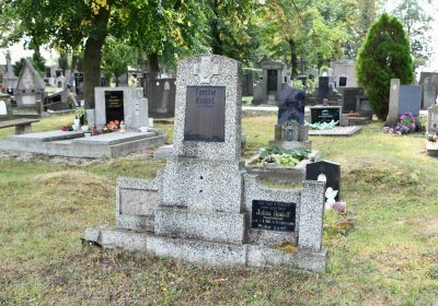 Lom u Mostu, Omnium, 2018