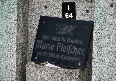 Lom u Mostu, Omnium, 2018