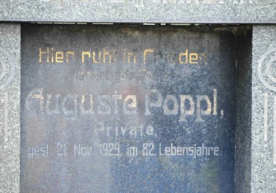 Lom u Mostu, Omnium, 2018