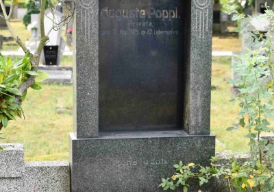 Lom u Mostu, Omnium, 2018