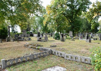 Lom u Mostu, Omnium, 2018