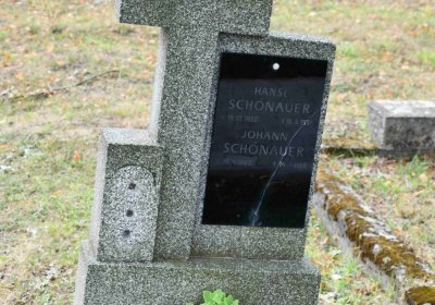 Lom u Mostu, Omnium, 2018