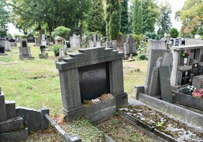 Lom u Mostu, Omnium, 2018