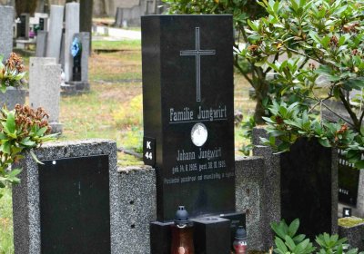 Lom u Mostu, Omnium, 2018