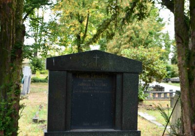 Lom u Mostu, Omnium, 2018