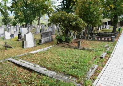 Lom u Mostu, Omnium, 2018