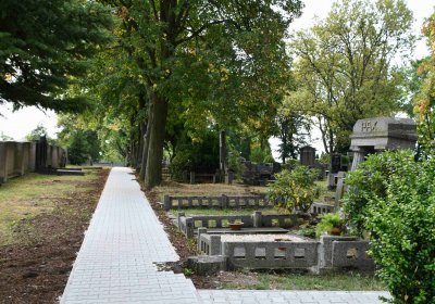 Lom u Mostu, Omnium, 2018