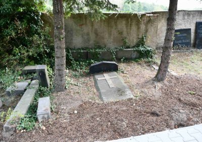 Lom u Mostu, Omnium, 2018