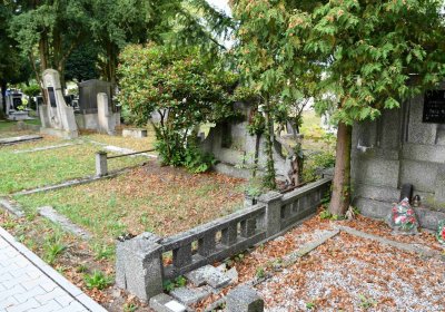 Lom u Mostu, Omnium, 2018