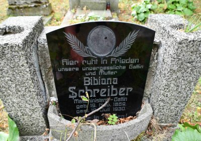 Lom u Mostu, Omnium, 2018