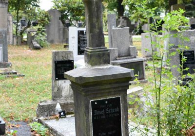 Lom u Mostu, Omnium, 2018