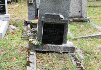 Lom u Mostu, Omnium, 2018