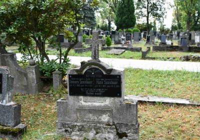 Lom u Mostu, Omnium, 2018