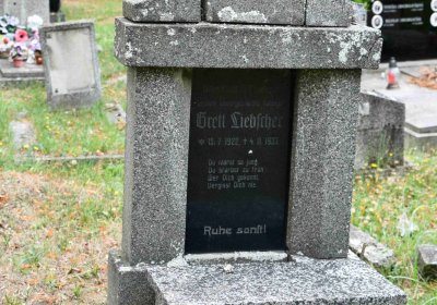 Lom u Mostu, Omnium, 2018