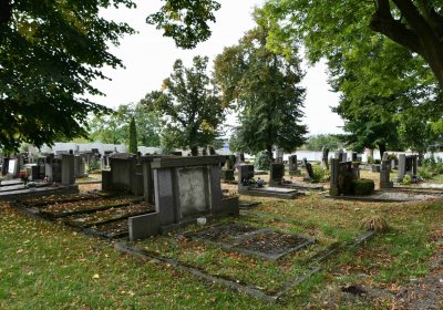 Lom u Mostu, Omnium, 2018