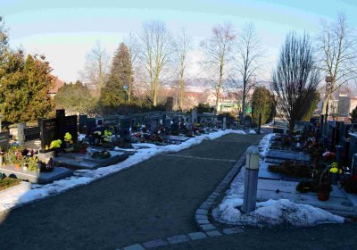 Šimůnek Tomáš, 2017