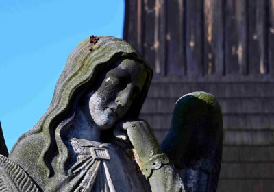 Šimůnek Tomáš, 2017