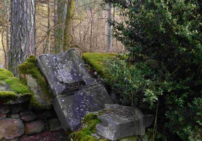 Šimůnek Tomáš, 2017