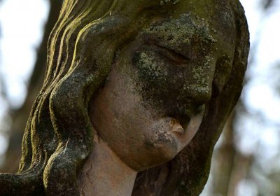 Šimůnek Tomáš, 2017