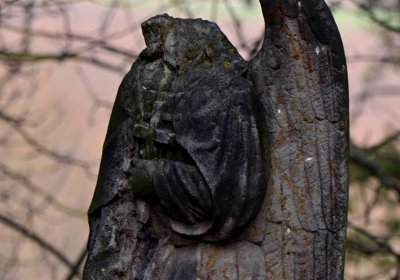 Šimůnek Tomáš, 2017