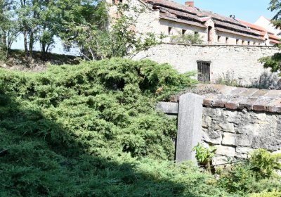 Lipenec, Omnium, 2020