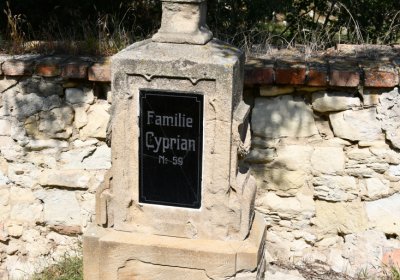 Lipenec, Omnium, 2020