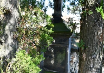 Lipenec, Omnium, 2020