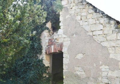 Lipenec, Omnium, 2020