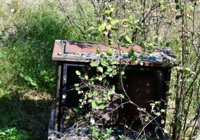 Lipenec, Omnium, 2020