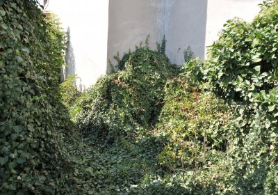 Lipenec, Omnium, 2020