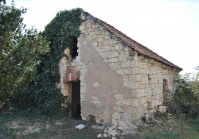 Lipenec, Omnium, 2020