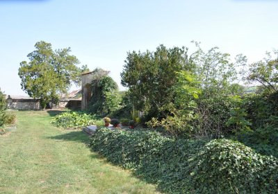 Lipenec, Omnium, 2020