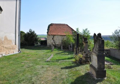 Lipenec, Omnium, 2020