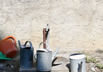 Lipenec, Omnium, 2020