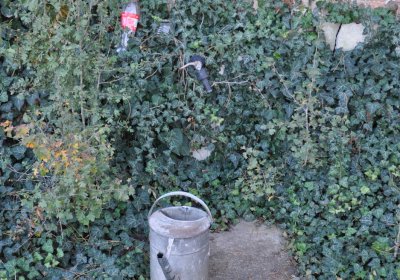 Radíčeves obecní, Omnium, 2020