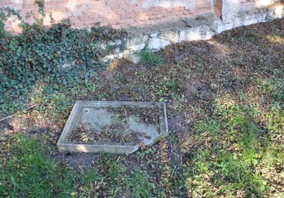 Radíčeves obecní, Omnium, 2020