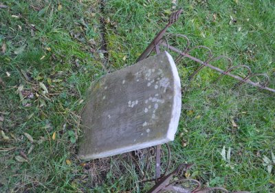 Radíčeves obecní, Omnium, 2020